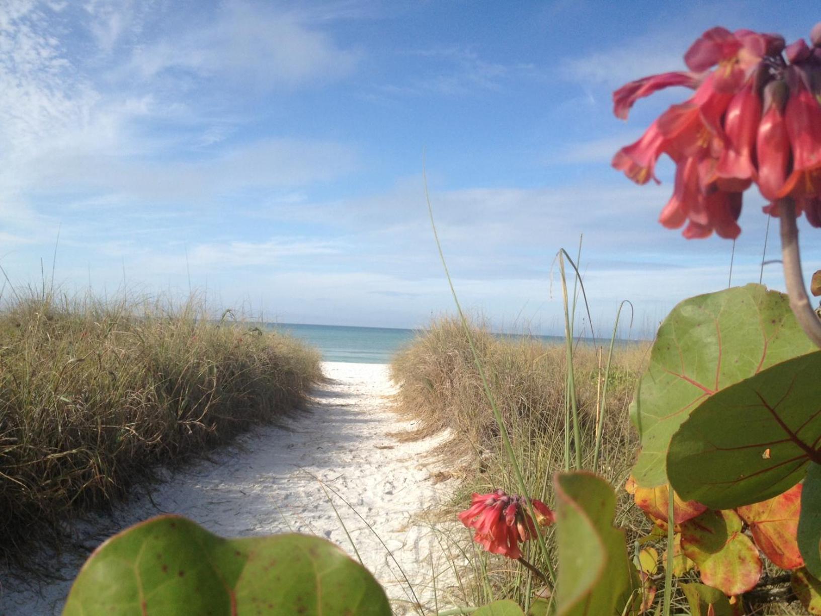 Siesta Key Inn Ngoại thất bức ảnh